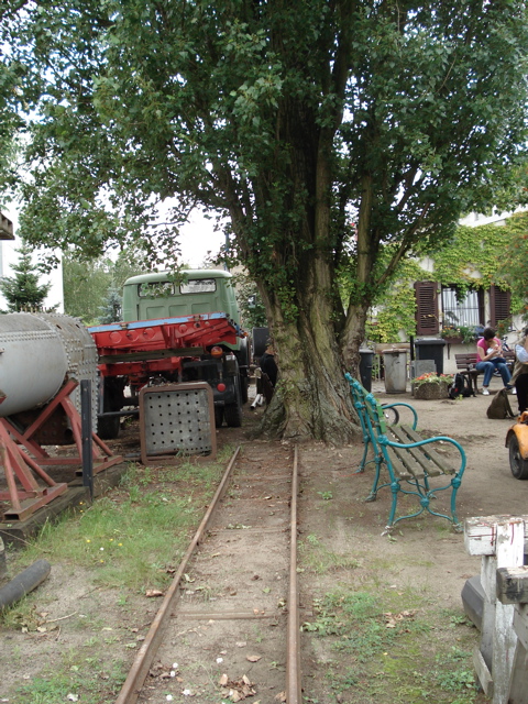 DSC00389.JPG